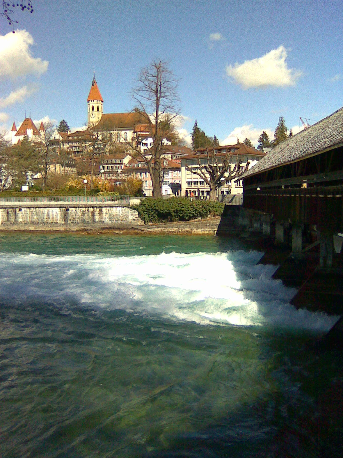 Aare und Schloss Thun